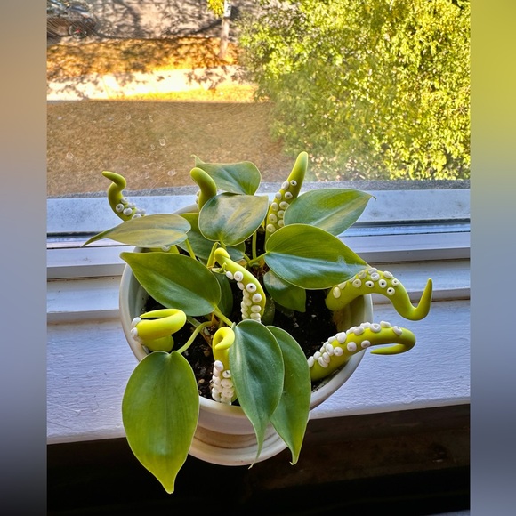 8 Lime Green Sea Creature Tentacles 🦑Decor Tentacle Unique Modern Indoor Plant - Picture 8 of 10